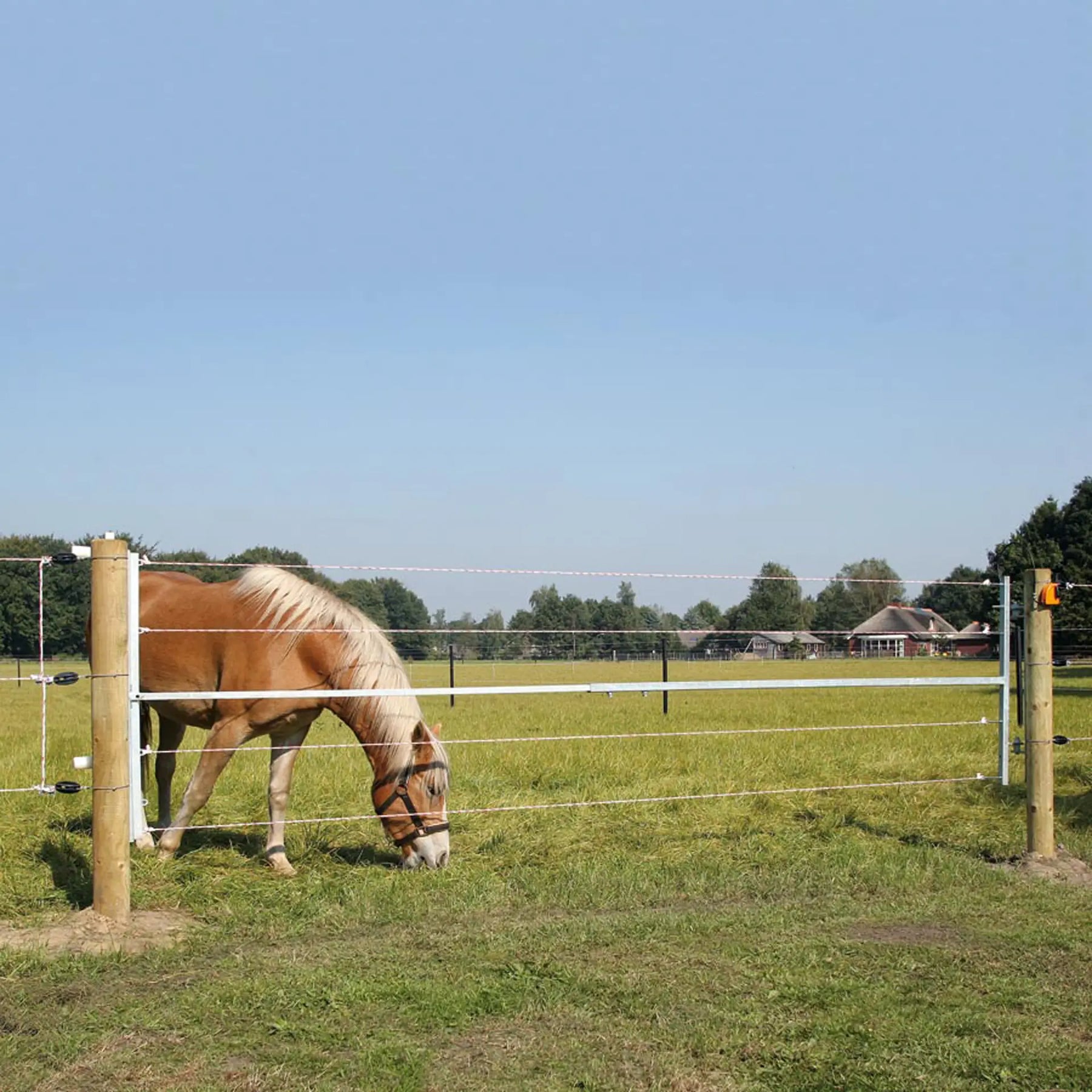 Gallagher Electrified steel gate