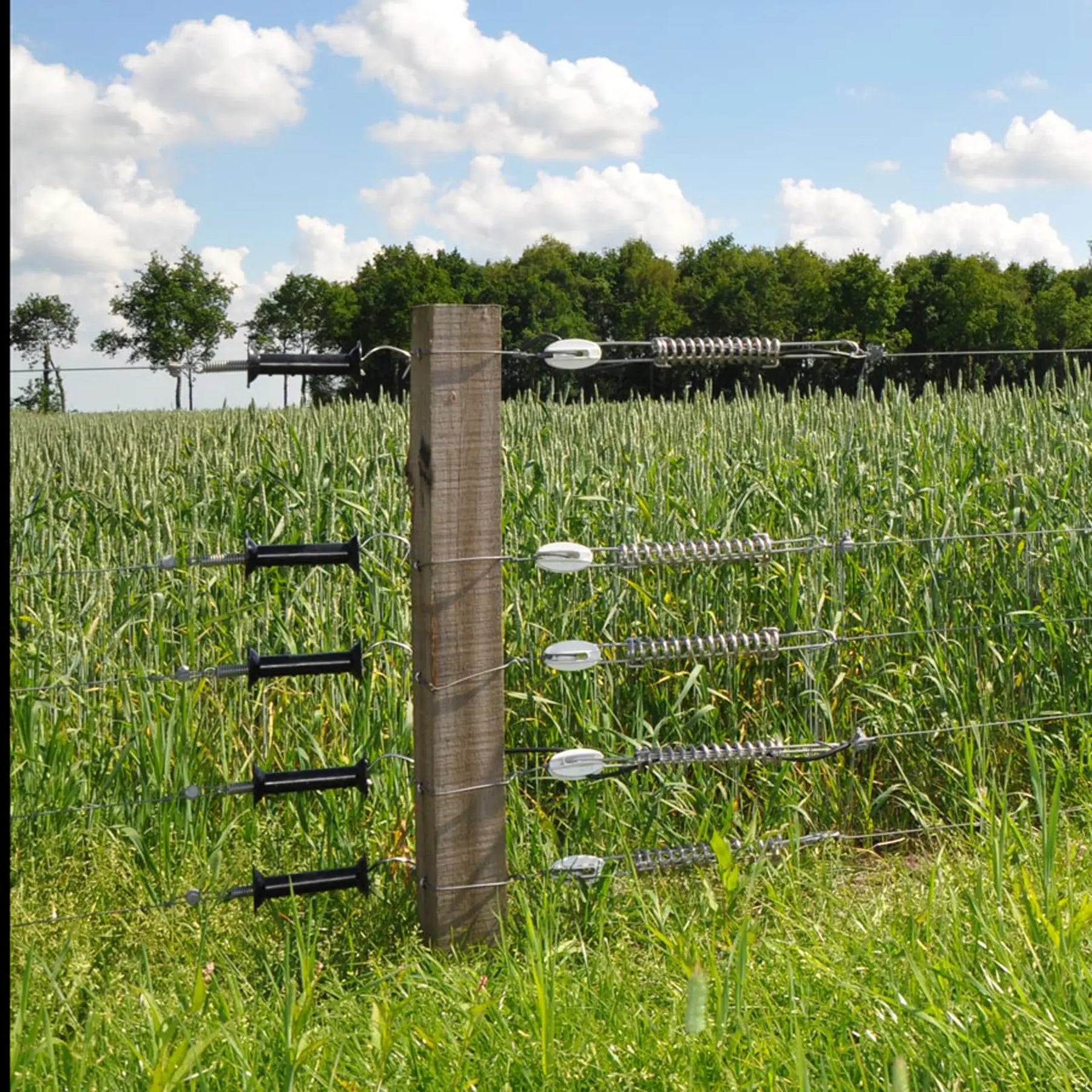 Gallagher Insultimber (FSC®) corner post (10.0 x 10.0cm - 2.50 metres)