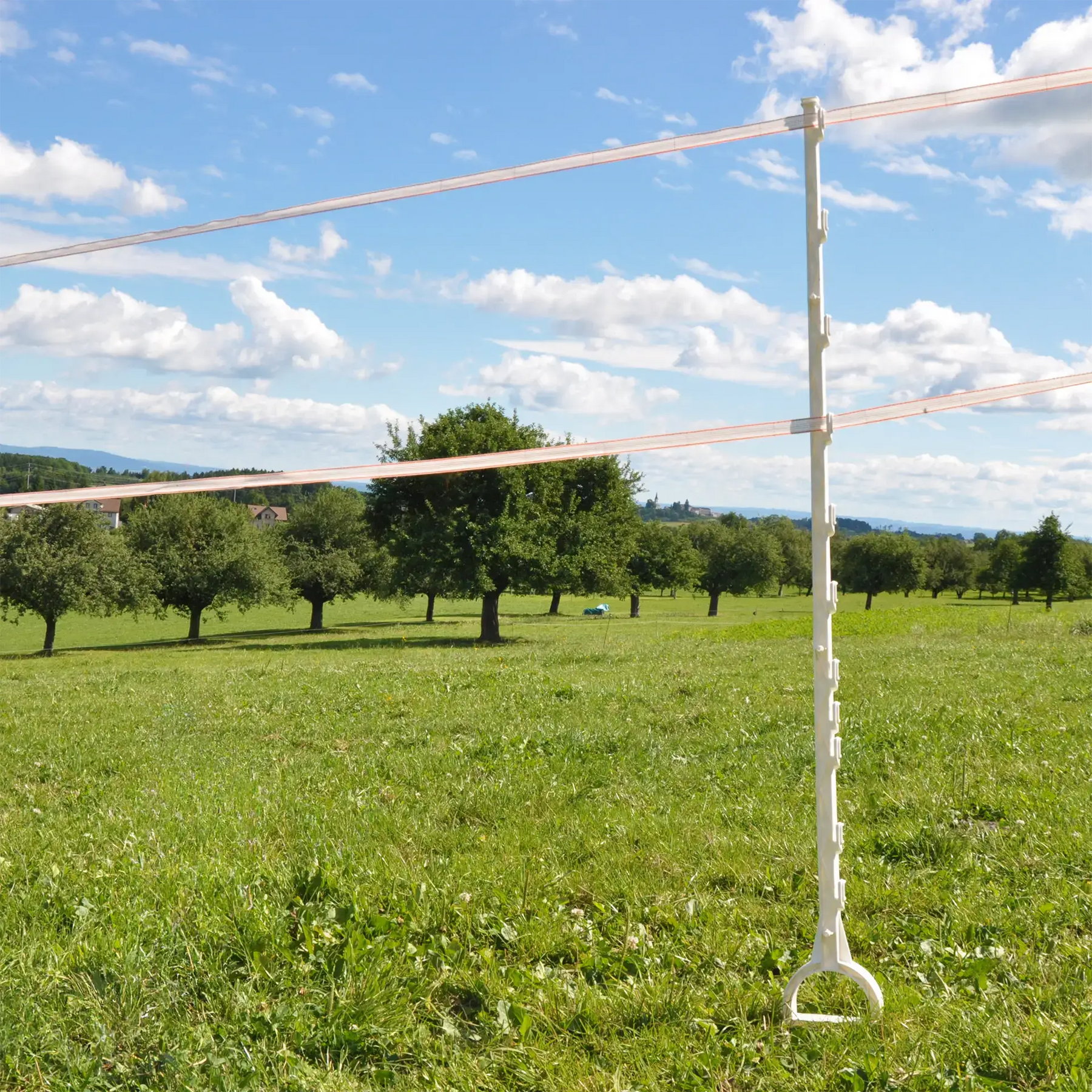Gallagher Duopack Horse post with stirrup foot 1,55m White (2 x 5)