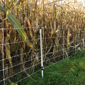 Gallagher Wild boar net, single spike, 75cm, 50m