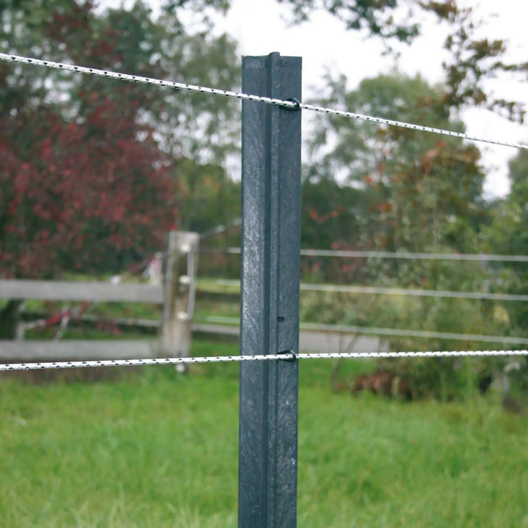 Gallagher PowerLine Rope (white, 200 meter)