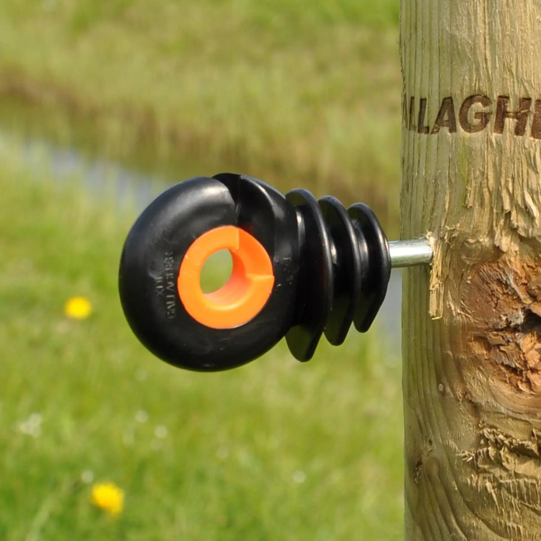 Gallagher XDI ring insulator (pack of 75)