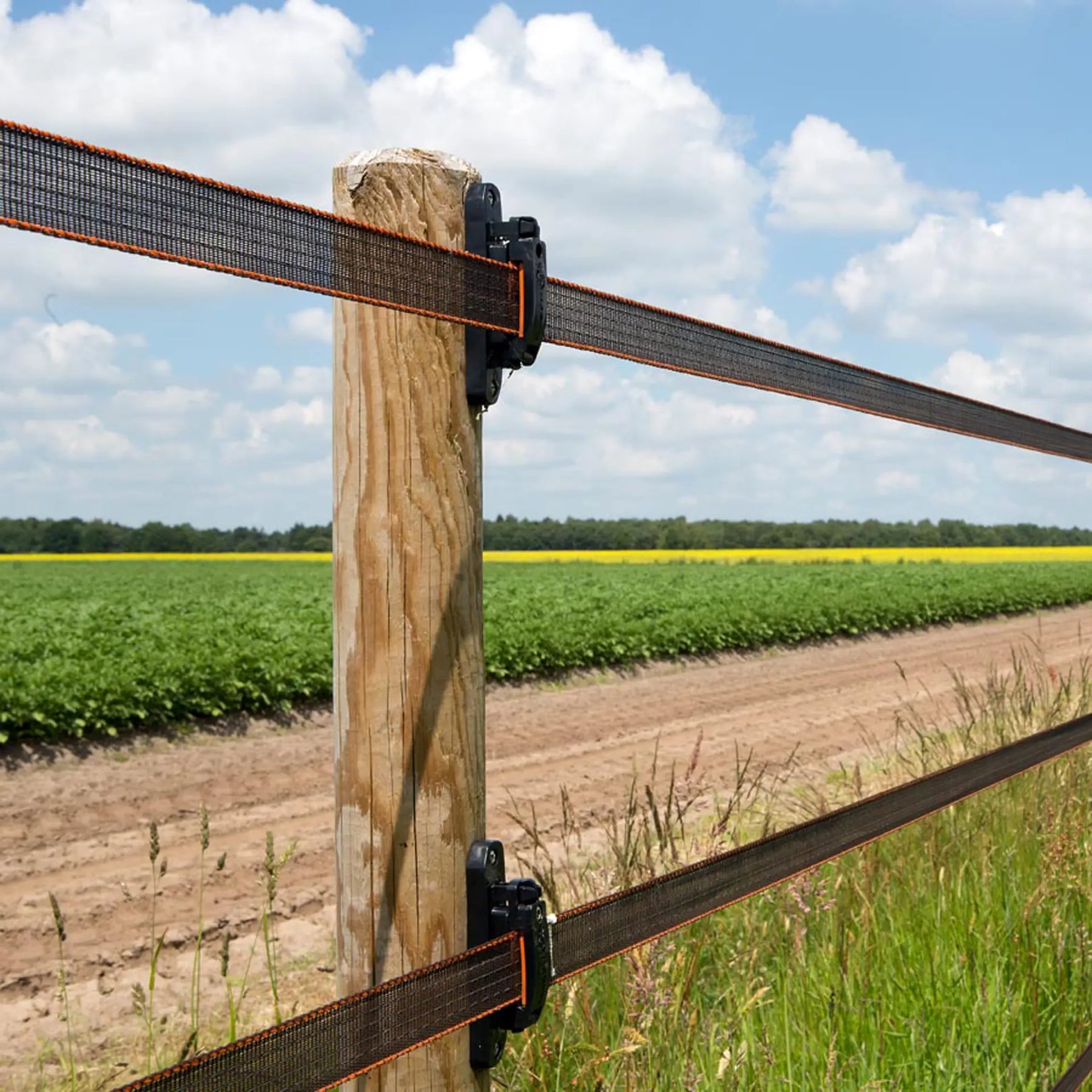 Gallagher Gallagher electric fence tape TurboStar 40mm wide (100m) Terra