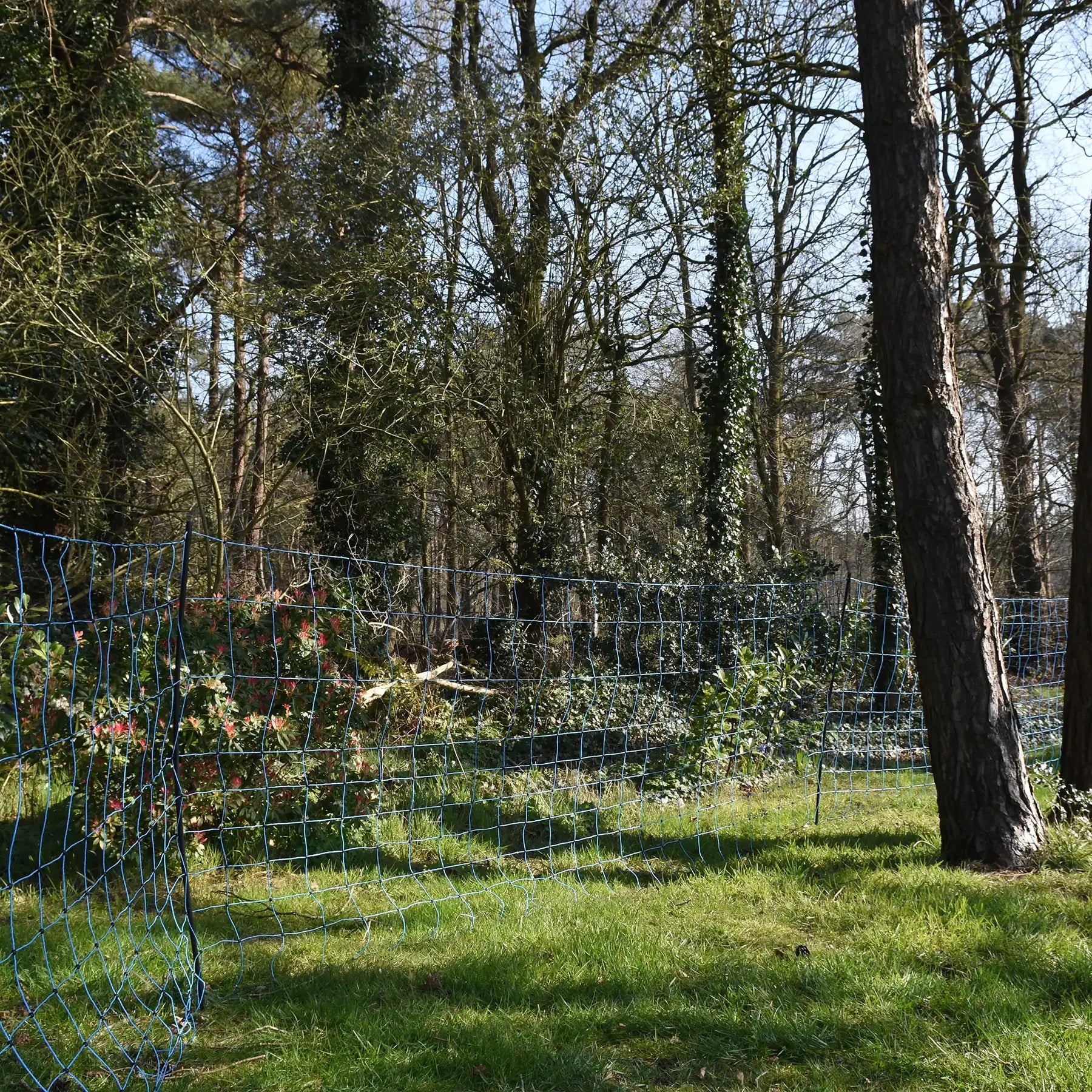 Gallagher Wolf netting, Blue 120/1W14/B-50m