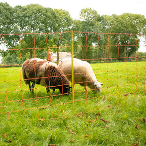 Gallagher Sheep Netting, Orange 90/2-14/Y-50m