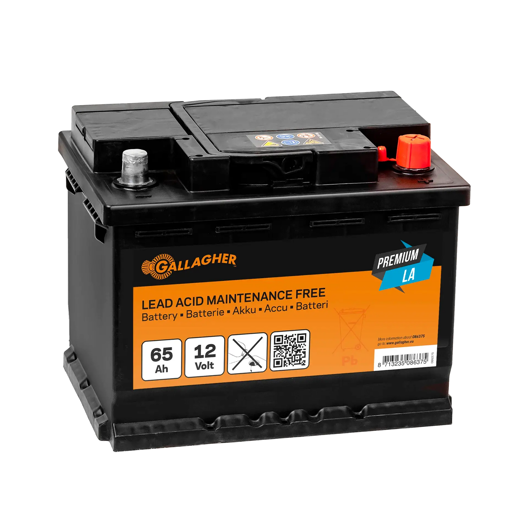 Gallagher Battery 12V/65Ah Premium LA - 242x175x190