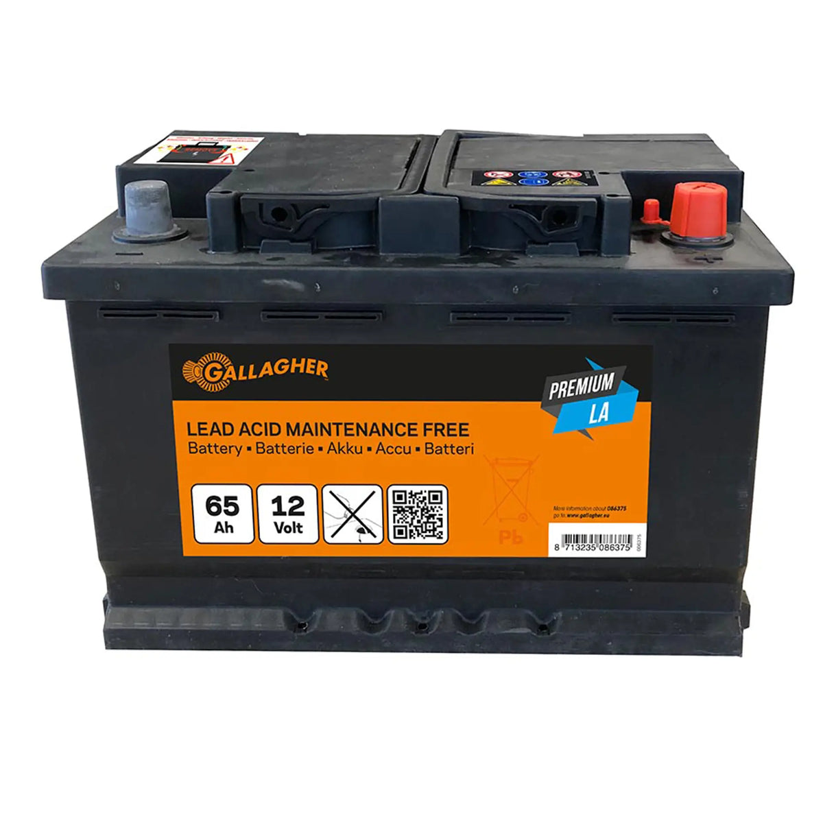 Gallagher Battery 12V/65Ah Premium LA - 242x175x190