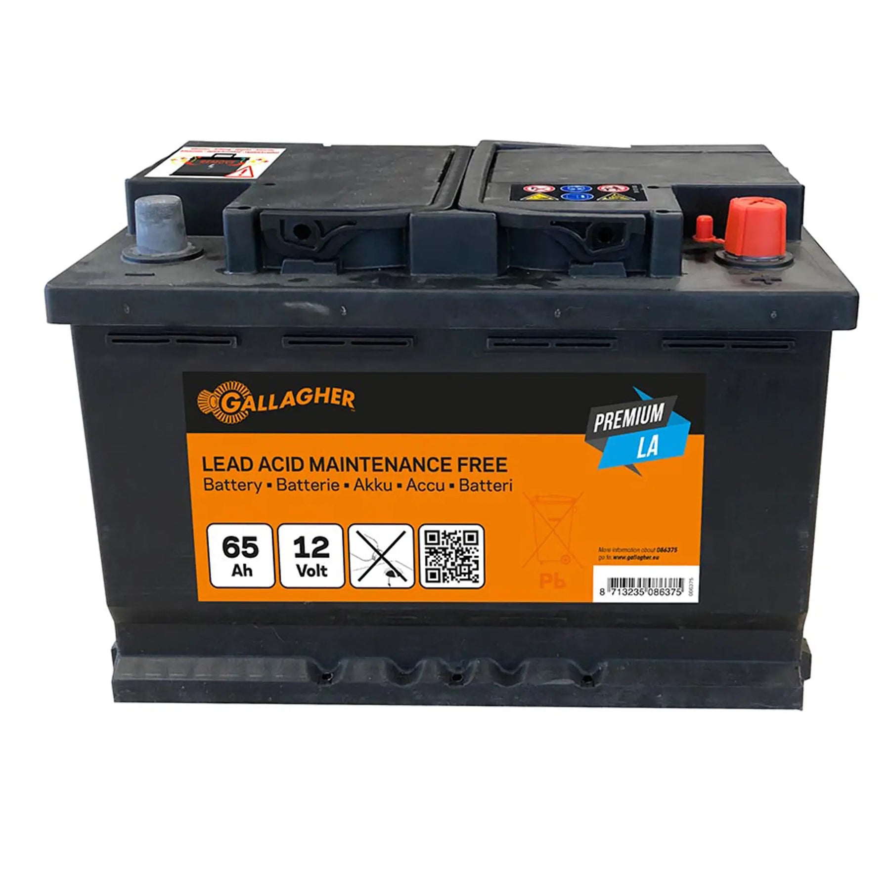 Gallagher Battery 12V/65Ah Premium LA - 242x175x190