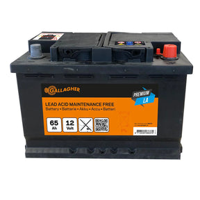 Gallagher Battery 12V/65Ah Premium LA - 242x175x190