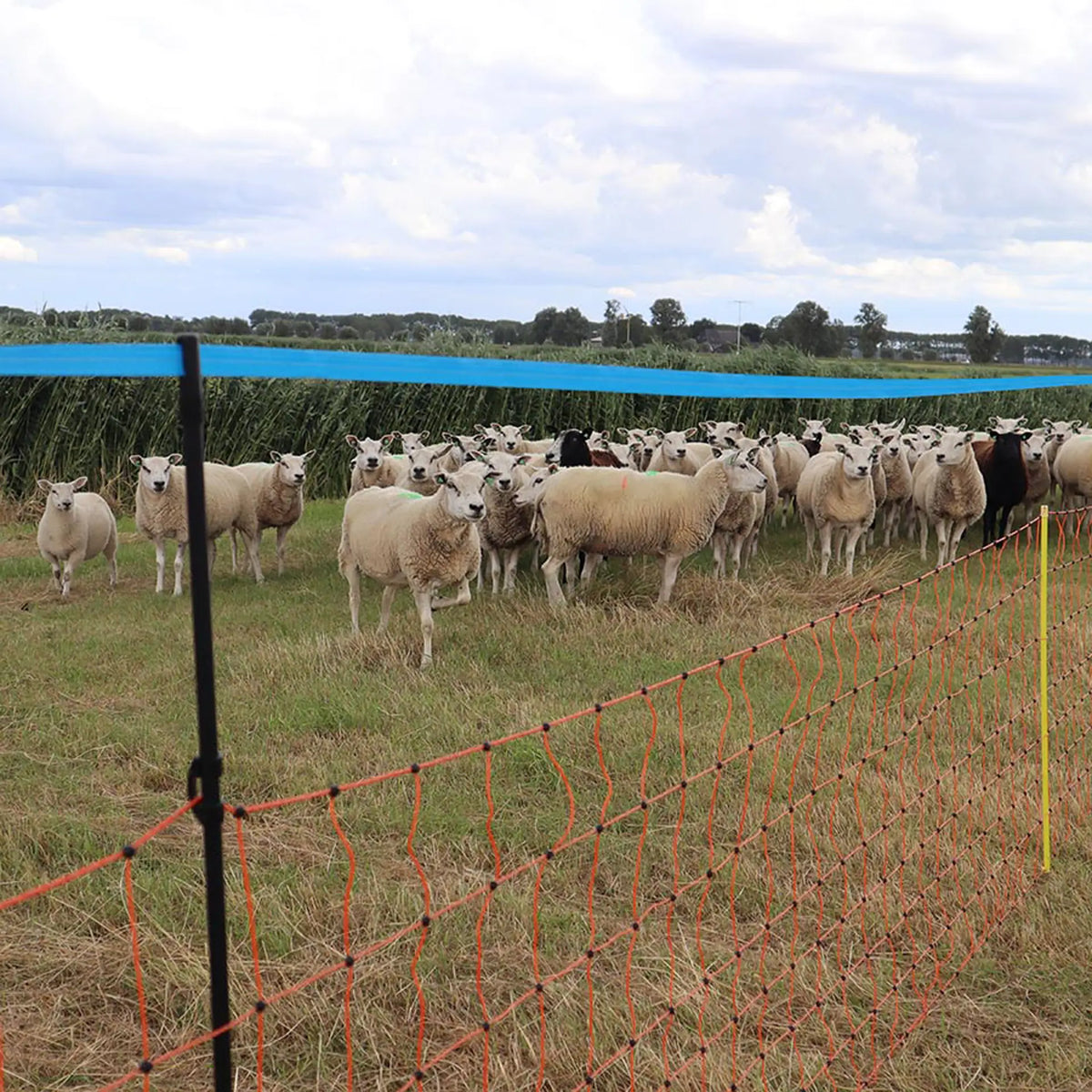 Gallagher Wolf-upgrade kit for 90cm sheep netting (8)