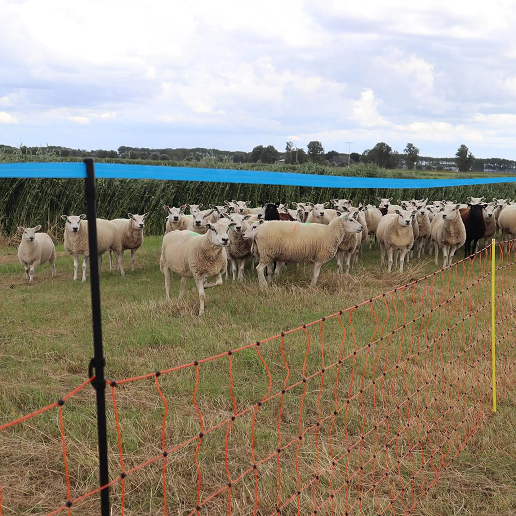 Gallagher Wolf-upgrade kit for 90cm sheep netting (8)