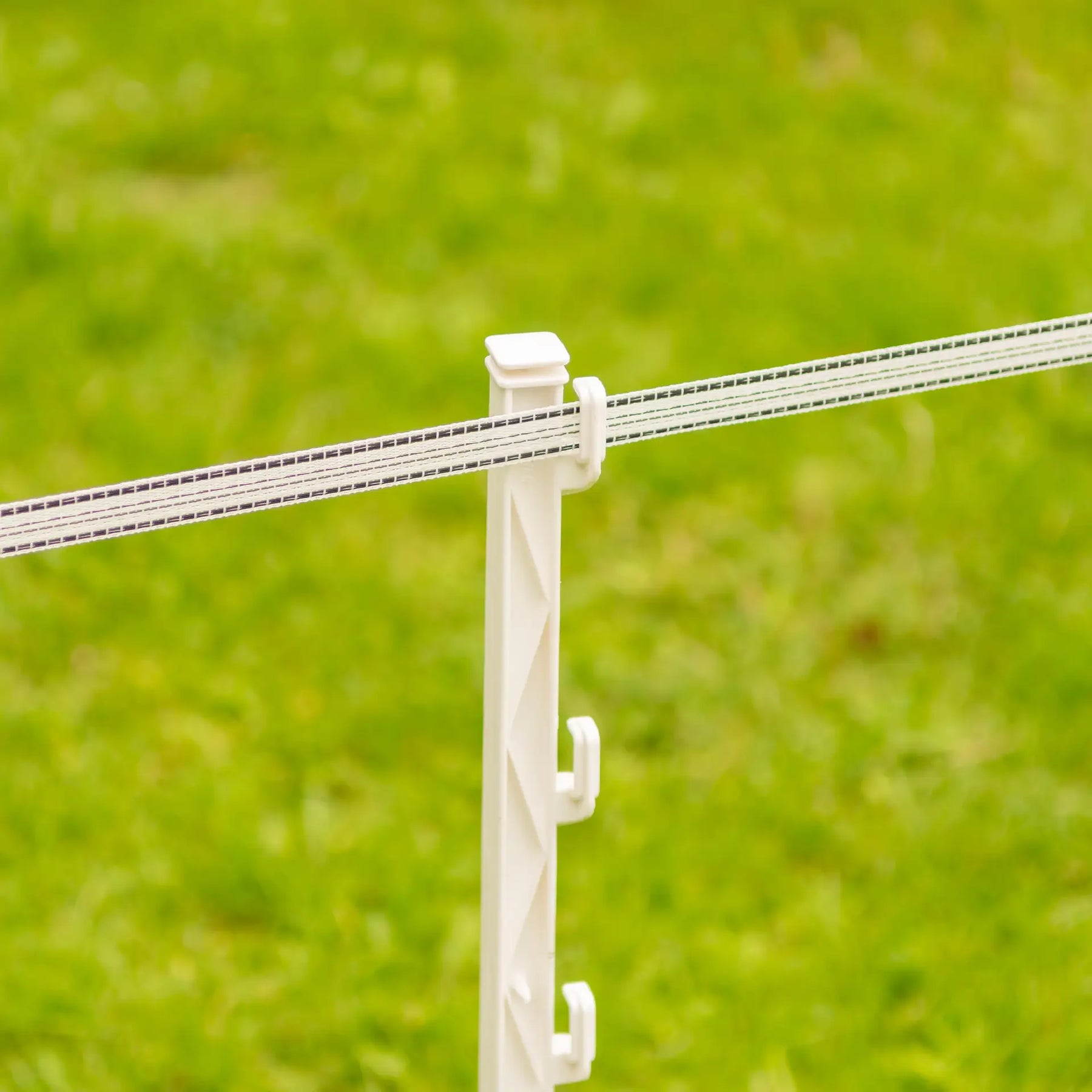 Gallagher PowerLine tape 20 mm (white, 200 metres)