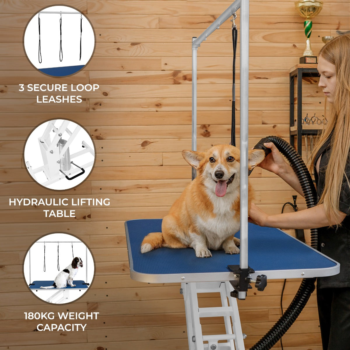 White Hydraulic Grooming Table with Blue Tabletop
