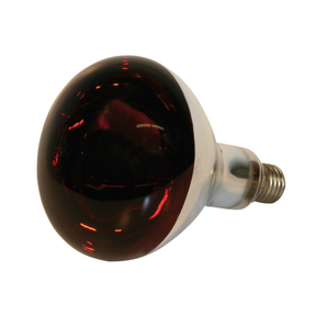 Heat Lamp Reflector Light 250W -  Incubator Whelping Poultry Pigs & Lambs - Long Grill