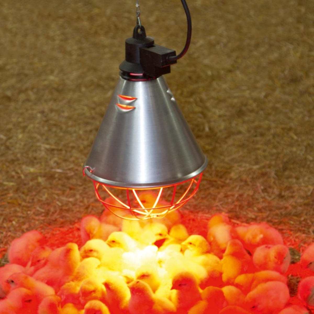 Heat Lamp Reflector Light 250W -  Incubator Whelping Poultry Pigs & Lambs - Long Grill