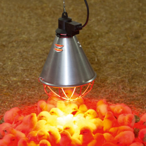 Heat Lamp Reflector Light 250W -  Incubator Whelping Poultry Pigs & Lambs - Long Grill
