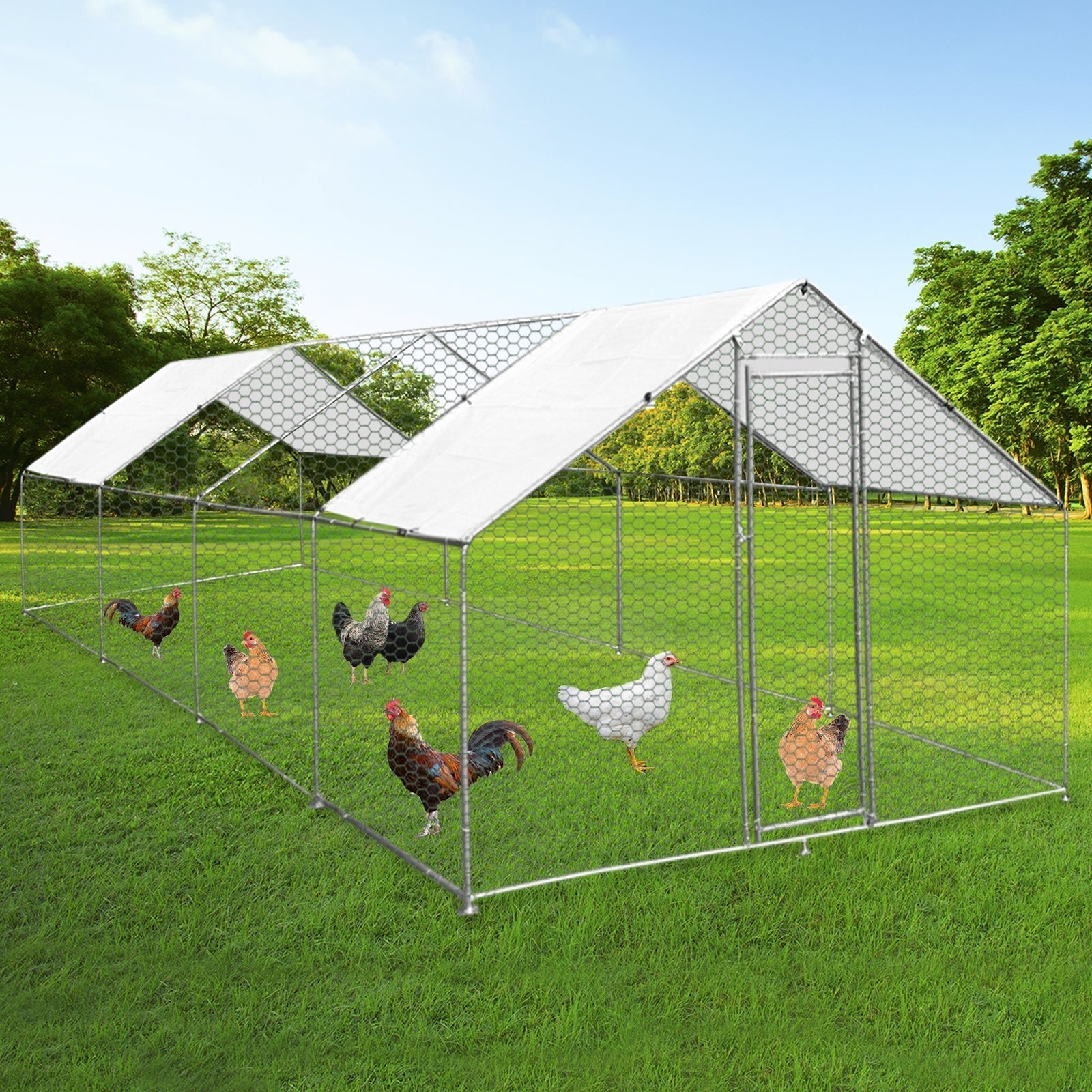 Chicken Run Enclosure 3m x 8m x 2m