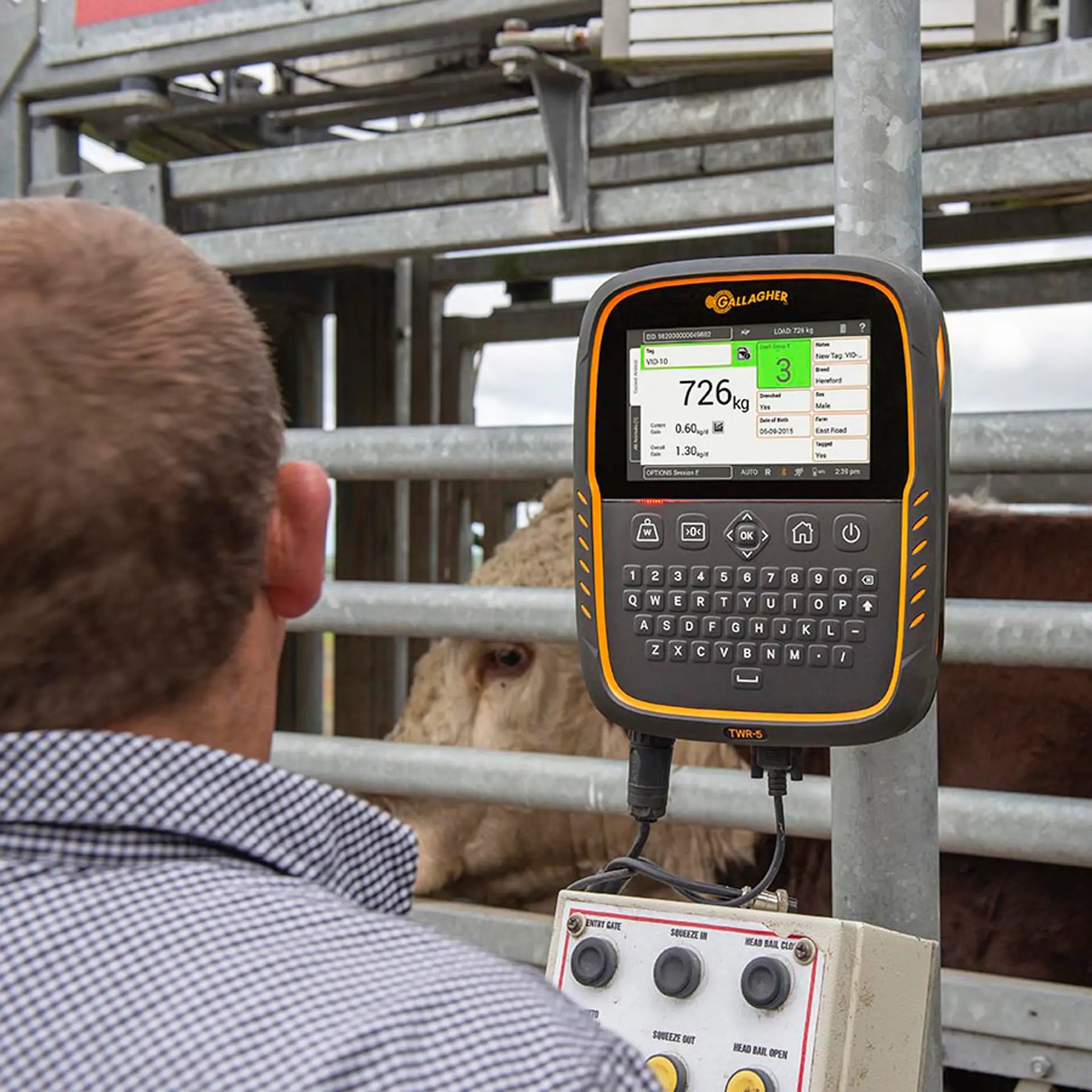 Gallagher TWR-5  Weigh Scale and Data Collector with integrated EID Reader
