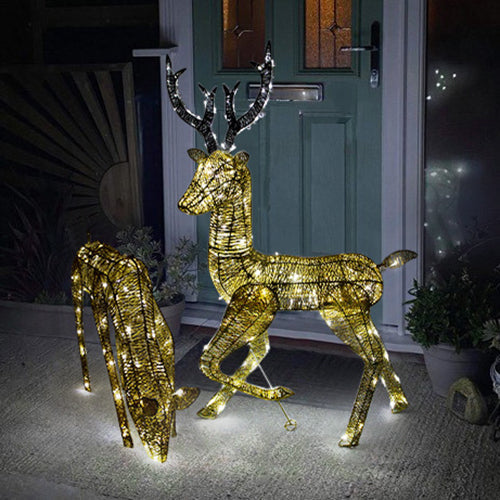 Gold Light-Up Reindeer Stag and Doe Set