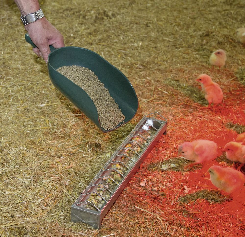 Plastic Feed Scoop 2000g