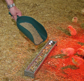 Plastic Feed Scoop 500g