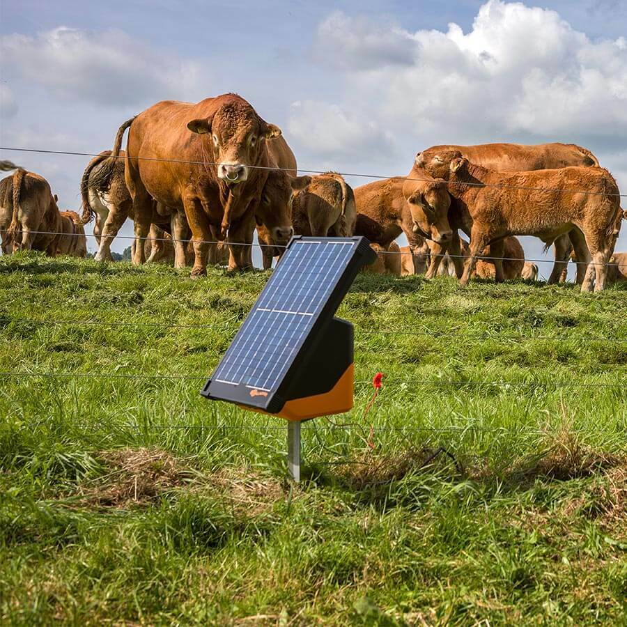 Gallagher S200 Solar Electric Fence Energiser - 2J 50km
