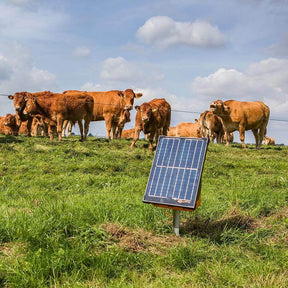 Gallagher S200 Solar Electric Fence Energiser - 2J 50km