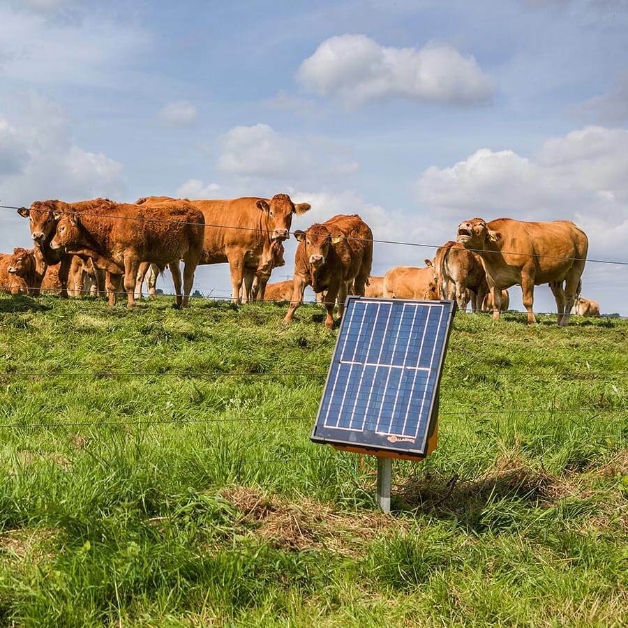 Gallagher S200 Solar Electric Fence Energiser - 2J 50km