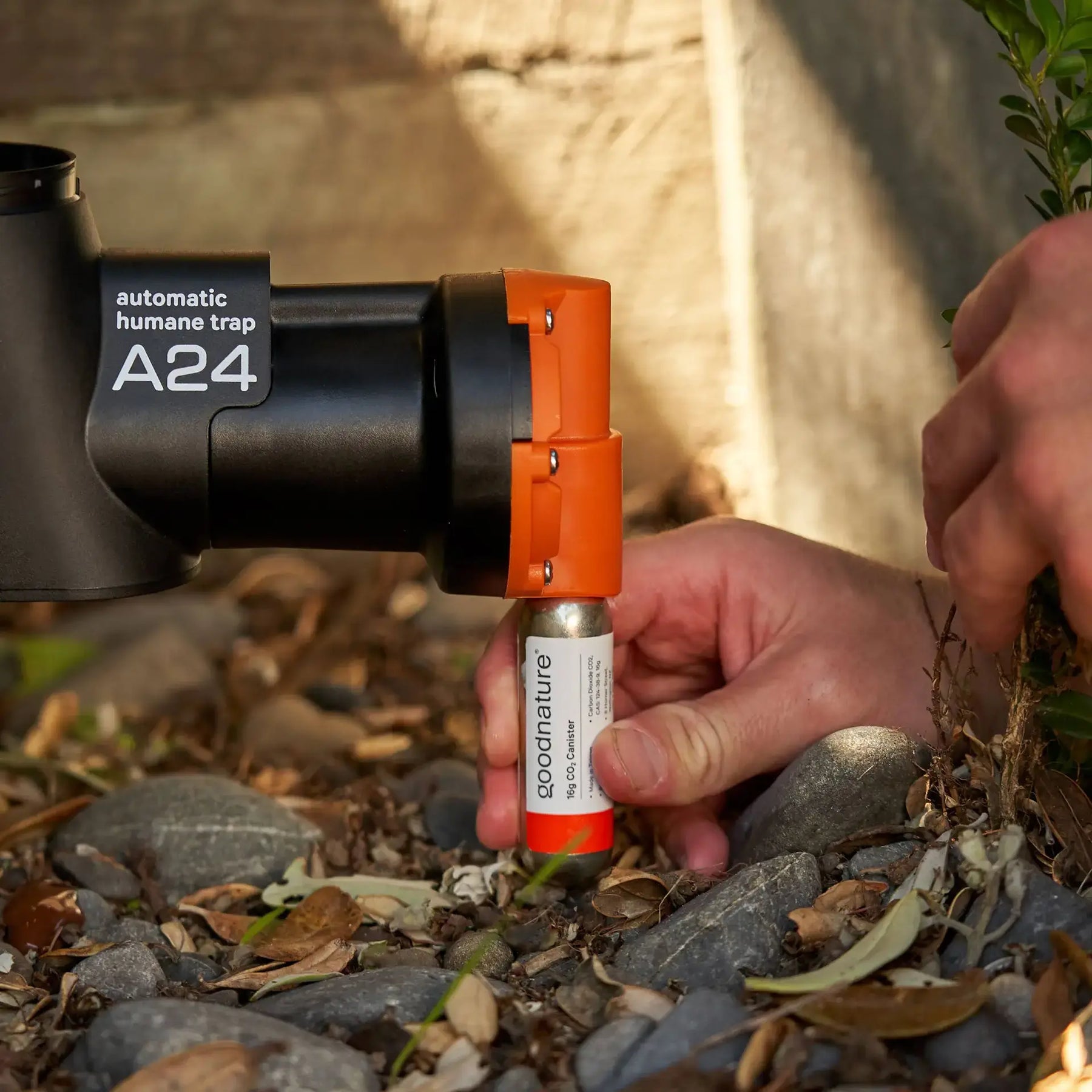 Gallagher Goodnature A24 CO2 Canister - 30 Pack
