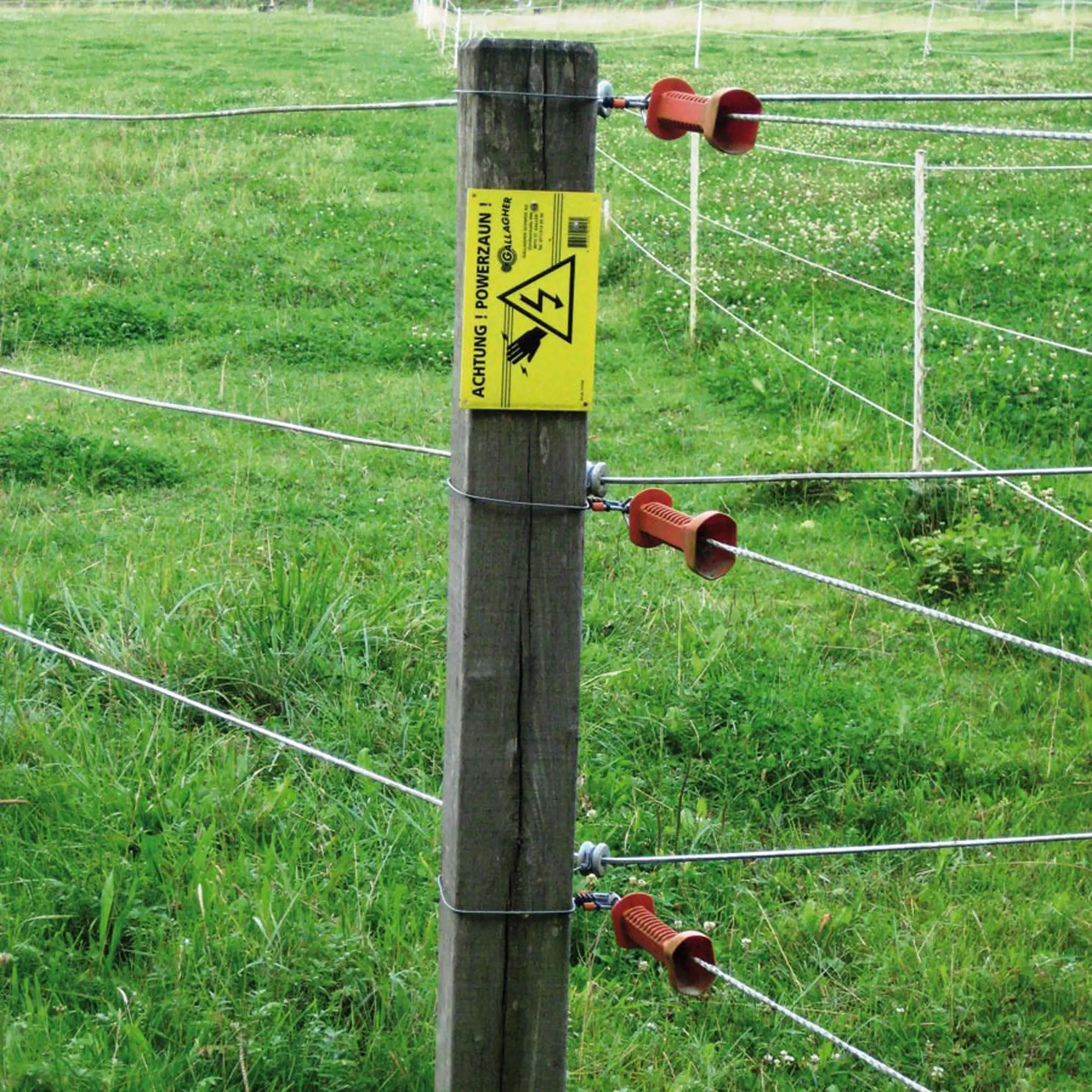 Gallagher Gallagher Elastic Rope white 50 m