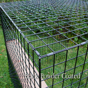 Lion's Den Four Sided Catio