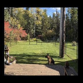 Freestanding DIY Dog Fence System