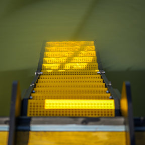 Dock Dog Ladder