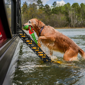 Pontoon Boat Dog Ladder