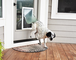 In-Glass Dog Door