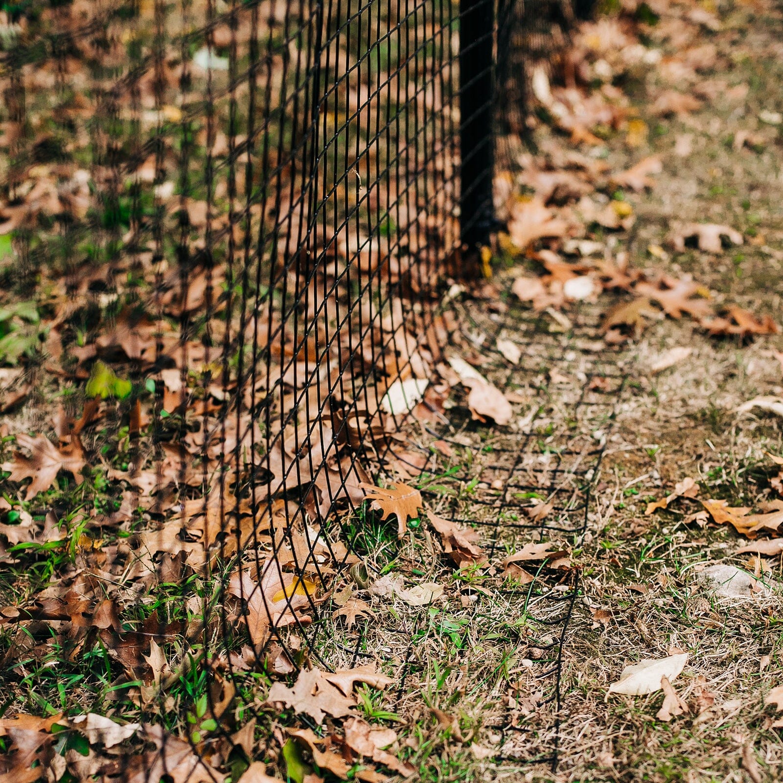 Freestanding DIY Dog Fence System