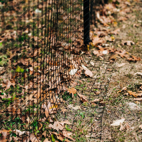 Freestanding DIY Dog Fence System