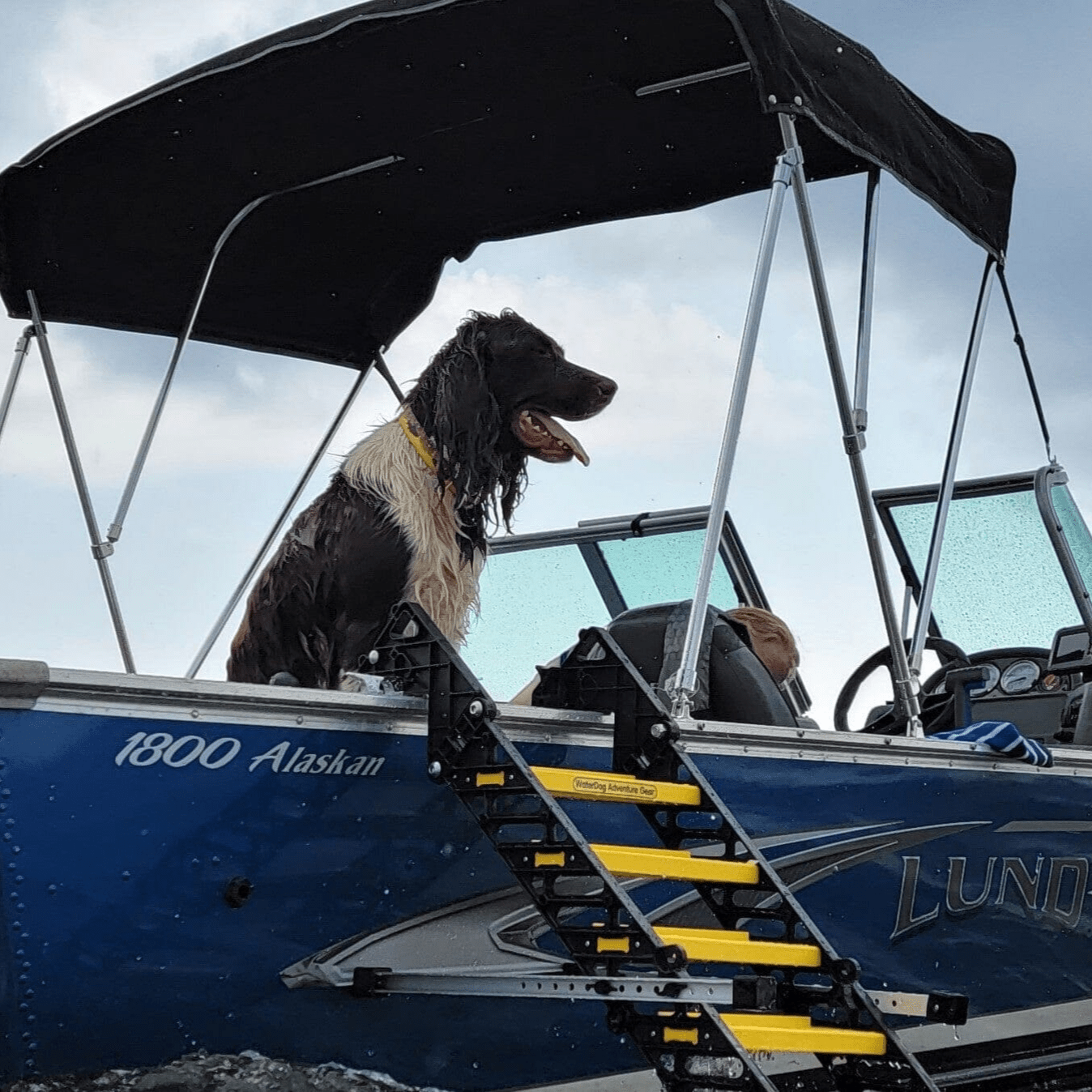 Fishing Boat Dog Ladder