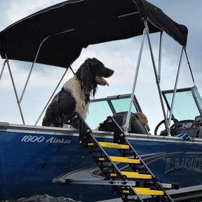 Fishing Boat Dog Ladder