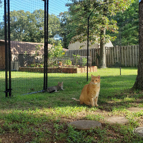Free-Standing Cat Fence Enclosure System