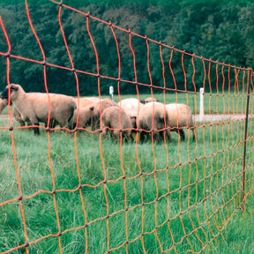 Gallagher Sheep Netting 90cmx50m Electric Fencing Net Fence Orange 90/2-14/Y-50m