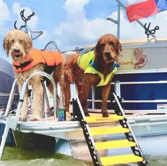 Pontoon Boat Dog Ladder