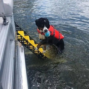 Pontoon Boat Dog Ladder