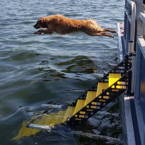 Pontoon Boat Dog Ladder
