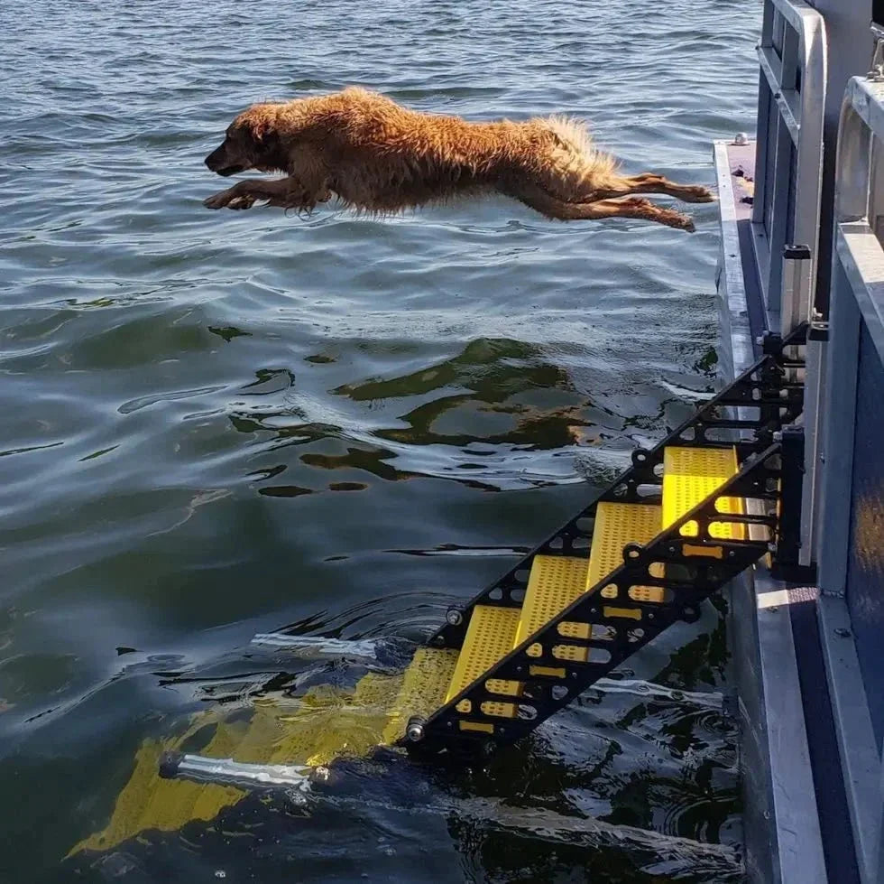 Pontoon Boat Dog Ladder