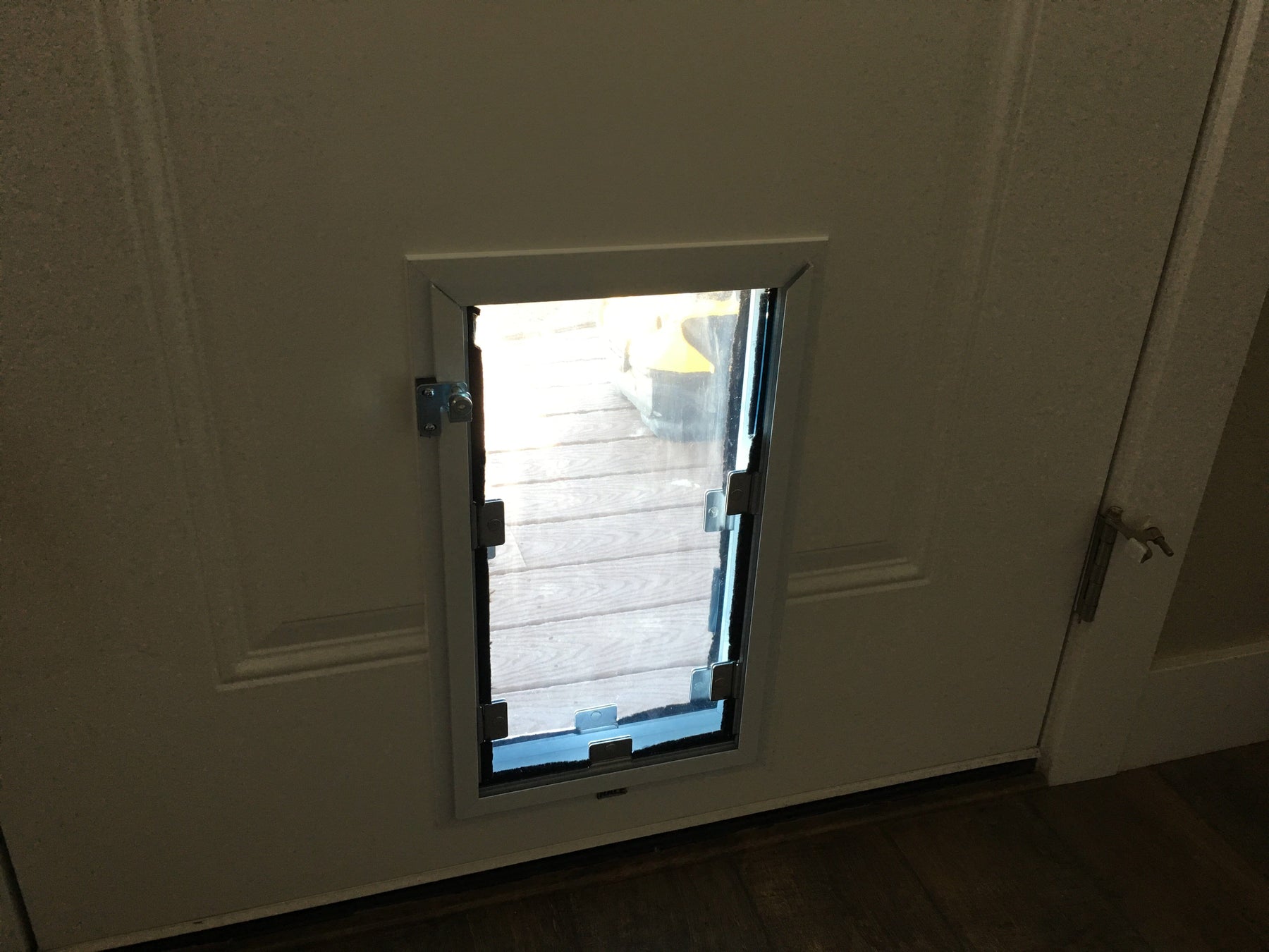 Dog Door - Door Model