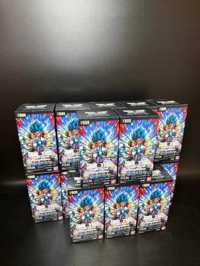 【FB-09】DUAL EVOLUTION TCG BOX & CASE〔Factory Sealed〕