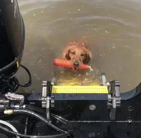 Fishing Boat Dog Ladder