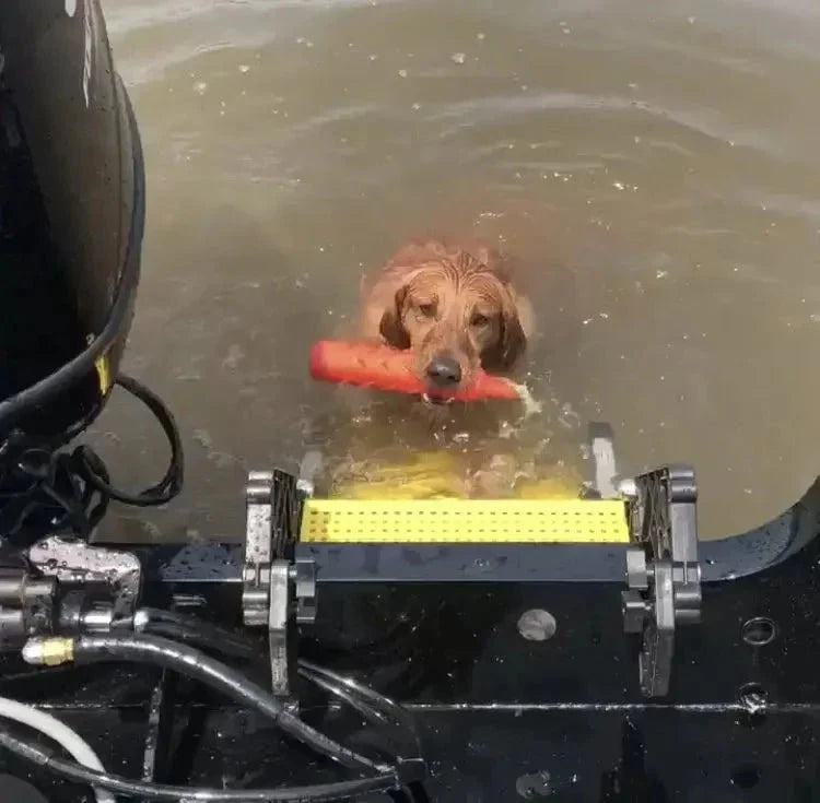 Fishing Boat Dog Ladder