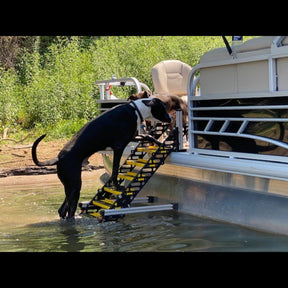 Pontoon Boat Dog Ladder